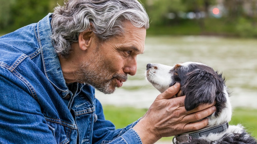 An elderly man talks to his dog