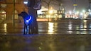 Dog with a Light-Up Collar in the City