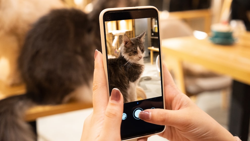 A woman takes a photo of her cat