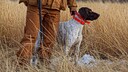 Hunter with Hunting Dog in Field