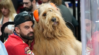 Brodie and his owner Cliff Brush Jr. watch the seventh game of the NHL Stanley Cup Final between the Florida Panthers and the Edmonton Oilers in Sunrise, Florida. Brush travels the world with his famous Goldendoodle Tik Tok.