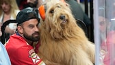 Brodie and his owner Cliff Brush Jr. watch the seventh game of the NHL Stanley Cup Final between the Florida Panthers and the Edmonton Oilers in Sunrise, Florida. Brush travels the world with his famous Goldendoodle Tik Tok.