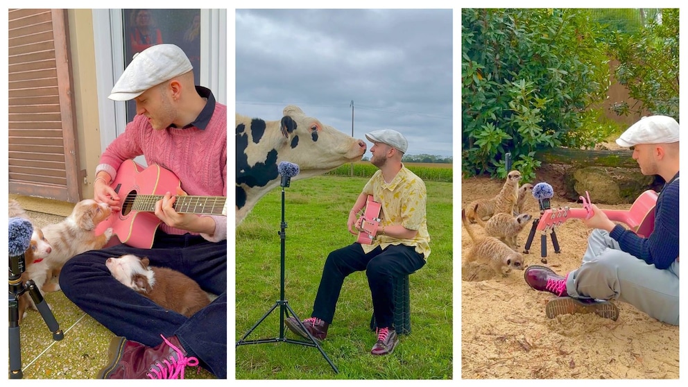 Singer Plumes delights the internet with his videos in which he sings for all kinds of animals.