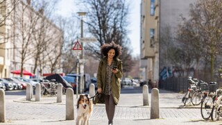 Whether you're a dog owner or not, most people are likely familiar with the term "Gassi gehen"—but where does it actually come from?