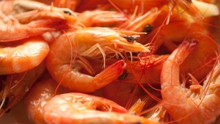 In shrimp farming, the eyes of females are often removed to speed up reproduction. This practice is known as eyestalk ablation.