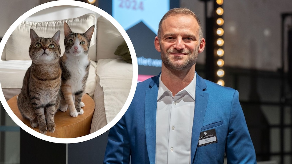 Catfluencer Lukas Hintersteiner was honored as Newcomer 2024 at this year's German Petfluencer Award