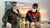 These injured cats were among the first animals to be brought from Aleppo to the practice in Idlib, where they received intensive care.