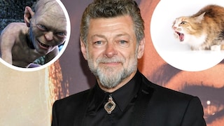 Collage Andy Serkis Gollum cat