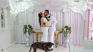 In some US states, couples can have their dogs serve as witnesses at their wedding.