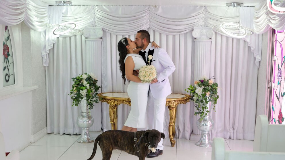 In some US states, couples can have their dogs serve as witnesses at their wedding.