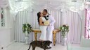 In some US states, couples can have their dogs serve as witnesses at their wedding.