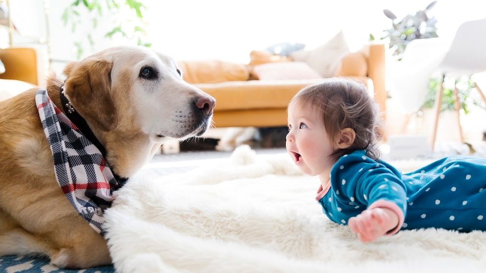 Baby and dog lying on the floor