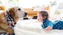 Baby and dog lying on the floor