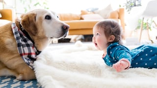 Baby and dog lying on the floor