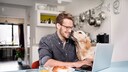 Sitting at the breakfast table with a laptop, a dog sniffs his face.