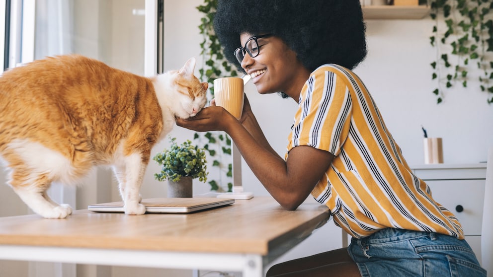 Young woman cuddles with cat