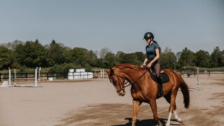 Woman horse riding on paddock at sunny day