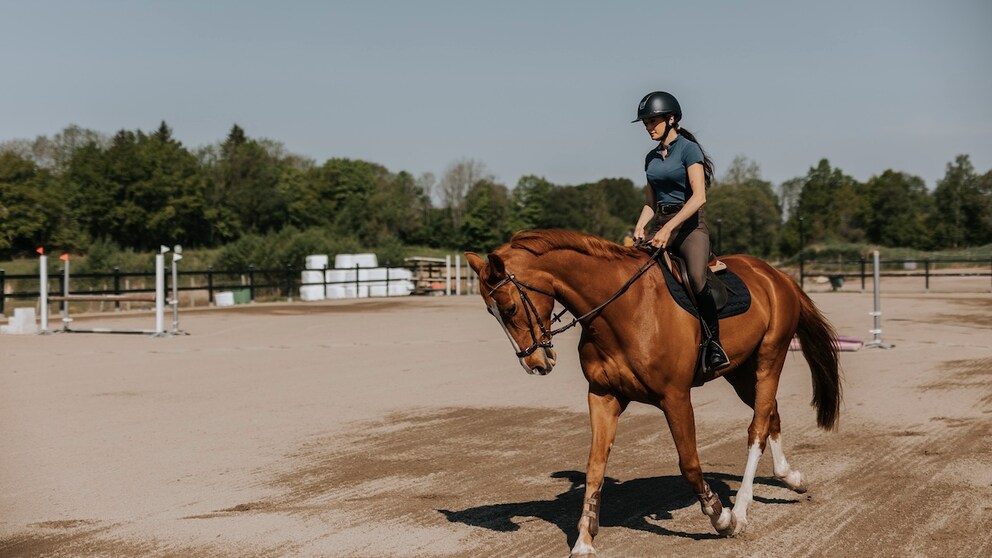 Woman horse riding on paddock at sunny day