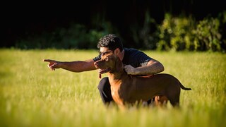 Man attracts the attention of his dog by pointing