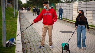 During the coronavirus pandemic, many people fulfilled their dream of owning a dog. A study has now taken a closer look at the owners of such "corona puppies".
