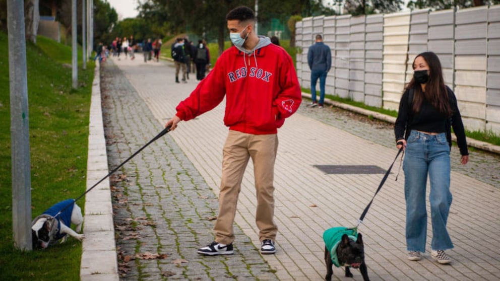 During the coronavirus pandemic, many people fulfilled their dream of owning a dog. A study has now taken a closer look at the owners of such "corona puppies".