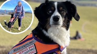 Finchen is not only an autism assistance dog, but has also become a real social media star.