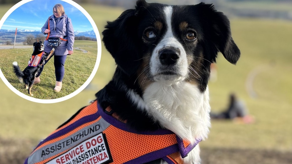 Finchen is not only an autism assistance dog, but has also become a real social media star.