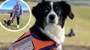 Finchen is not only an autism assistance dog, but has also become a real social media star.