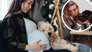 Collage of pregnant woman with dog on the sofa and portrait of dog trainer Katharina Marioth