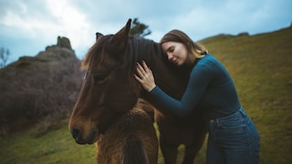 Woman stroking Icelandic horse