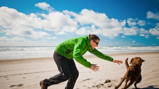 Dog owner chases his dog on the beach