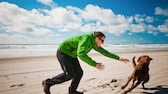 Dog owner chases his dog on the beach
