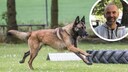 In recent weeks, the debate over a potential ban on private individuals and clubs participating in protection dog sports has resurfaced.