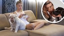 Constantly being on the phone — also known as "phubbing" — can significantly disrupt the relationship between a dog and its owner.