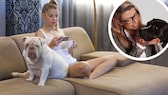 Constantly being on the phone — also known as "phubbing" — can significantly disrupt the relationship between a dog and its owner.