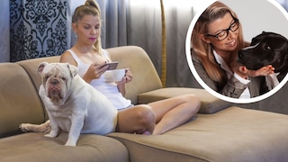 Constantly being on the phone — also known as "phubbing" — can significantly disrupt the relationship between a dog and its owner.