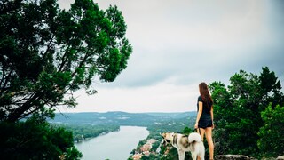 A young woman and her dog traveling in Rhineland-Palatinate