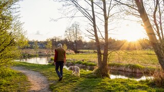 A man and his dog are walking by a river