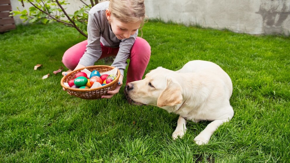 Easter with a Dog