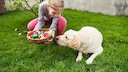 Easter with a Dog