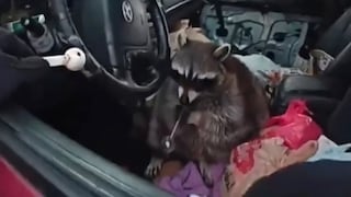 The police certainly wouldn't have expected this discovery, not even in their wildest dreams.