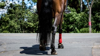 A rider on a horse at an intersection