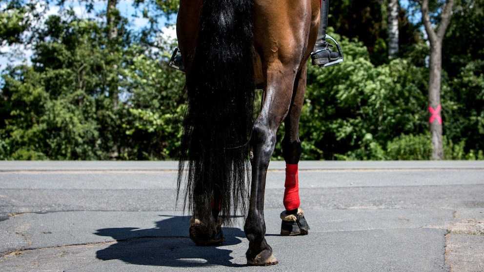 A rider on a horse at an intersection