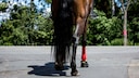 A rider on a horse at an intersection
