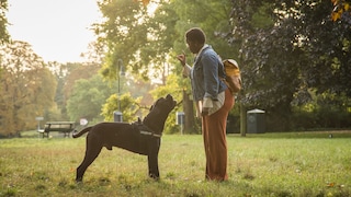 A woman is in the park with her dog