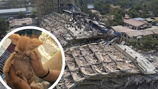 Earthquake damage in Myanmar; injured cat (district)
