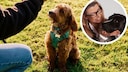 Collage of a dog sitting with its owner during training on a meadow and a portrait of dog trainer Katharina Marioth (circle)
