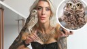 Collage by Bianca Wiese featuring Karma, the burrowing owl