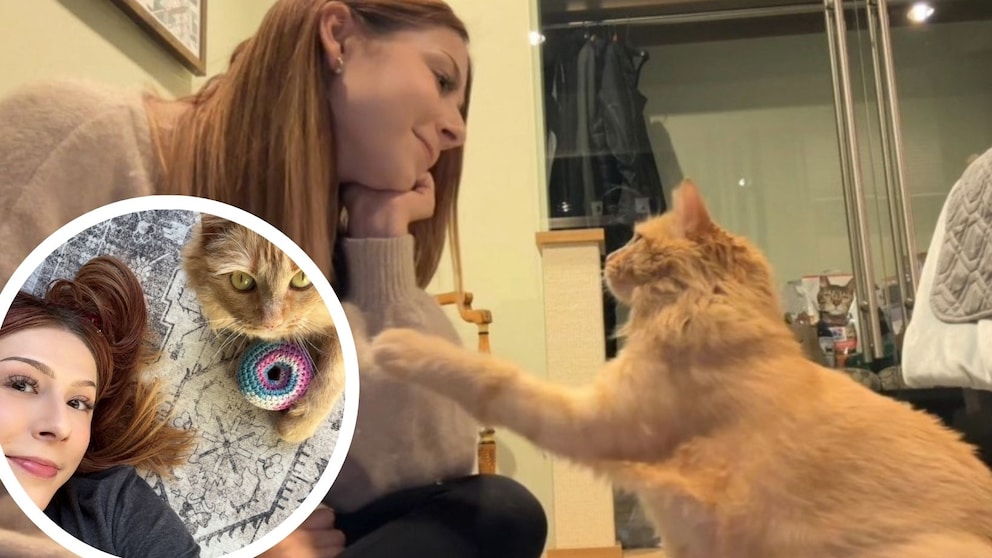 The cat Garbanzo was bottle-fed and raised as a kitten in 2021 by animal welfare advocate Rachael Robertson. With the best intentions, Robertson, acting as a foster caregiver, placed the young cat in what was supposed to be her forever home. However, that marked the beginning of a nightmare for the cat.