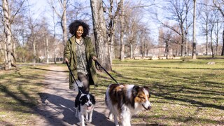 Woman Walks Her Dogs on a Leash in a Berlin Park